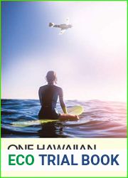 One Hawaiian Morning