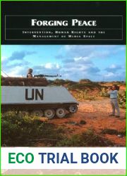 Forging Peace: Intervention, Human Rights and the Management of Media Space