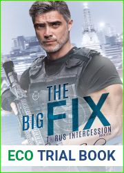 The Big Fix (Torus Intercession #5)