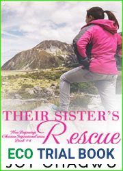 Their Sister|s Rescue (New Beginnings #4)