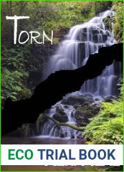 Torn