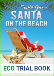 Santa on the Beach