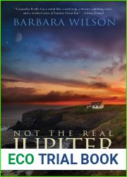 Not the Real Jupiter: A Cassandra Reilly Mystery