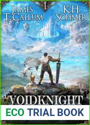 Voidknight Ascension (Voidknight Ascension #1)