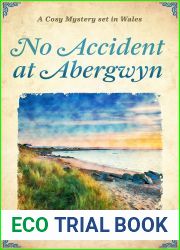 No Accident at Abergwyn (Tudor and Stewart Abergwyn Mysteries, #1)