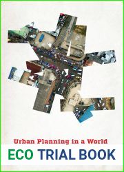 Urban Planning in a World of Informal Politics (The City in the Twenty-First Century)