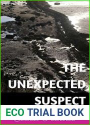 The Unexpected Suspect (Pitkirtly Mysteries Book 16)