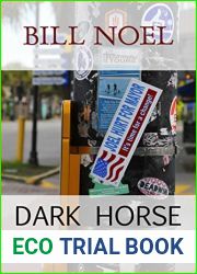 Dark Horse (A Folly Beach Mystery Book 14)