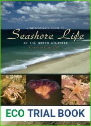 A Photographic Guide to Seashore Life in the North Atlantic: Canada to Cape Cod
