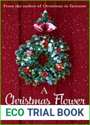 A Christmas Flower