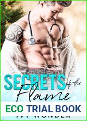 Secrets of the Flame (Saved by the Doctor #1)