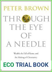 Through the Eye of a Needle: Wealth, the Fall of Rome, and the Making of Christianity in the West, 350-550 AD
