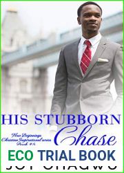 His Stubborn Chase - The New Beginnings Christian Inspirational Series - Book 5