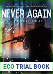 Never Again (Levi Yoder, #3)