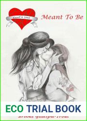 Meant To Be (Heart and Soul Book 4)