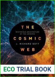 The Cosmic Web: Mysterious Architecture of the Universe
