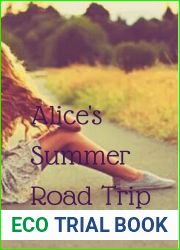 Alice|s Summer Road Trip