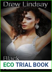 Black Mountain Affair (Ben Hood Thriller, #2)
