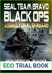 Assault on Al Shabaab
