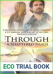 Through a Shattered Image