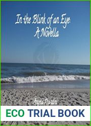 In the Blink of an Eye: A Novella