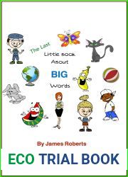 The Last Little Book About BIG Words (Learn BIG Words! 6)