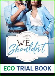 We Shouldn|t (The Raven Brothers #2)