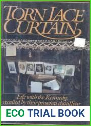 Torn Lace Curtain