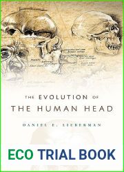 The Evolution of the Human Head