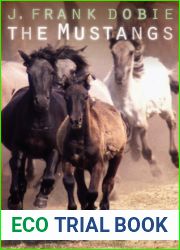 The Mustangs