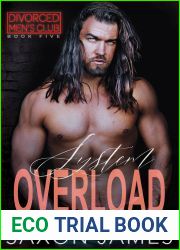 System Overload (Divorced Men|s Club, #5)