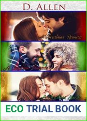 Small Town Christmas Books 1-3 Bundle