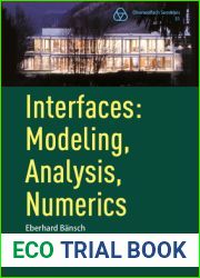 Interfaces: Modeling, Analysis, Numerics (Oberwolfach Seminars, 51)