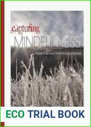 Capturing Mindfulness