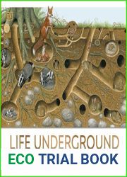 Life Underground: Tunnel into a World of Wildlife (DK Panorama)
