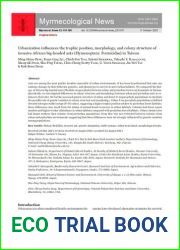Urbanization influences the trophic position, morphology, and colony structure of invasive African big-headed ants in Taiwan