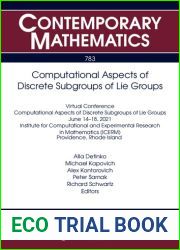 Computational Aspects of Discrete Subgroups of Lie Groups (Contemporary Mathematics, 783)