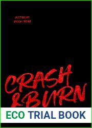 Crash and Burn (LOST BOYS Book 3)