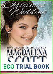Christmas Wedding (Serendipity, Indiana #3)