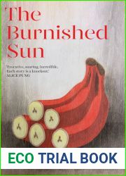 The Burnished Sun