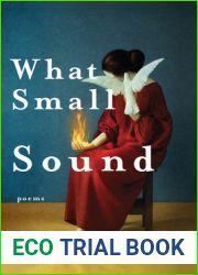 What Small Sound