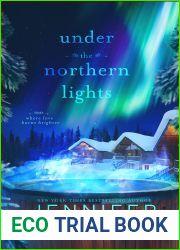 Under the Northern Lights: A Christmas Later in Life Second Chance Holiday Romance (Once Again Book 4)