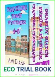Traveling Town Funny Mystery Box Set : Books 4 - 6