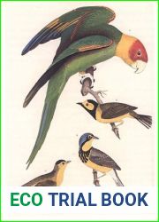 Bird Day; How to prepare for it