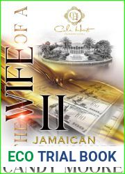 The Wife Of A Jamaican Billionaire 2: An African American Romance