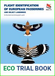 Flight Identification of European Passerines and Select Landbirds: An Illustrated and Photographic Guide (WILDGuides)