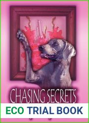 Chasing Secrets