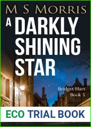 A Darkly Shining Star (Bridget Hart, #5)
