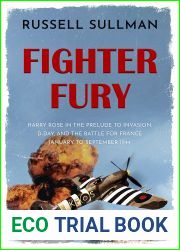 Fighter Fury (Harry Rose Novels, #4)