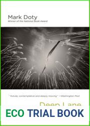 Deep Lane